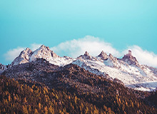 jiuyou-很沮丧！东契奇左腿筋不适回更衣室时 怒踢场边广告牌